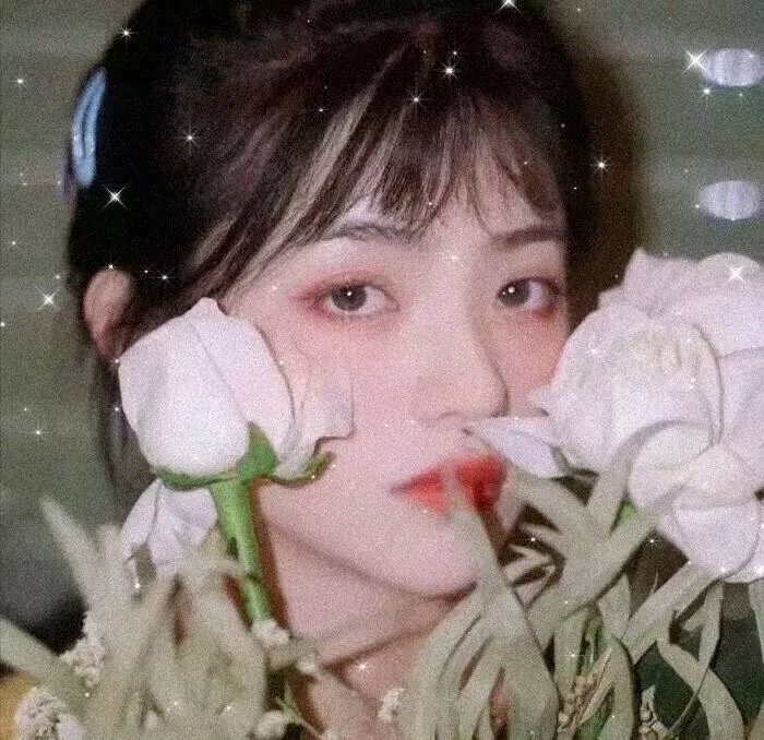 曾克林出关